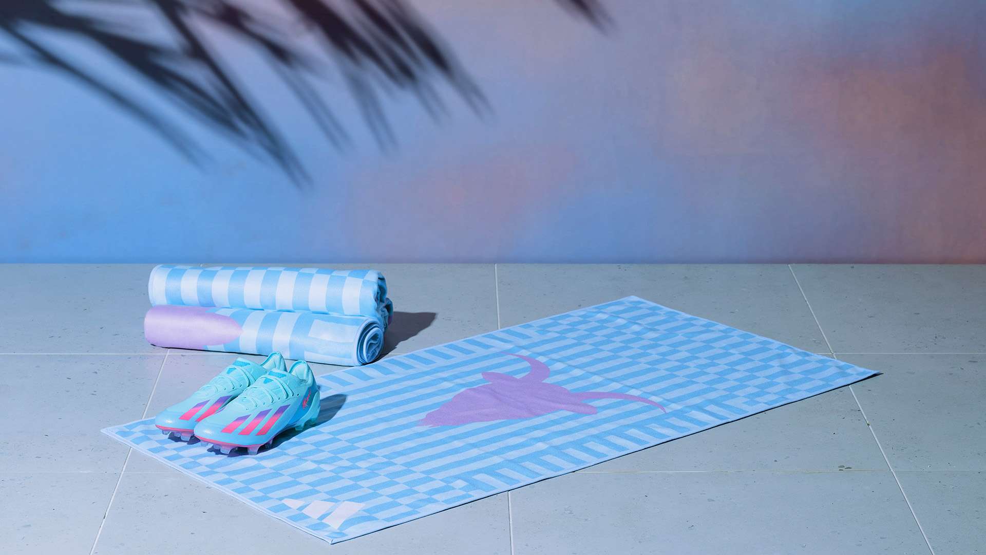 中东部以偏 中东部以偏