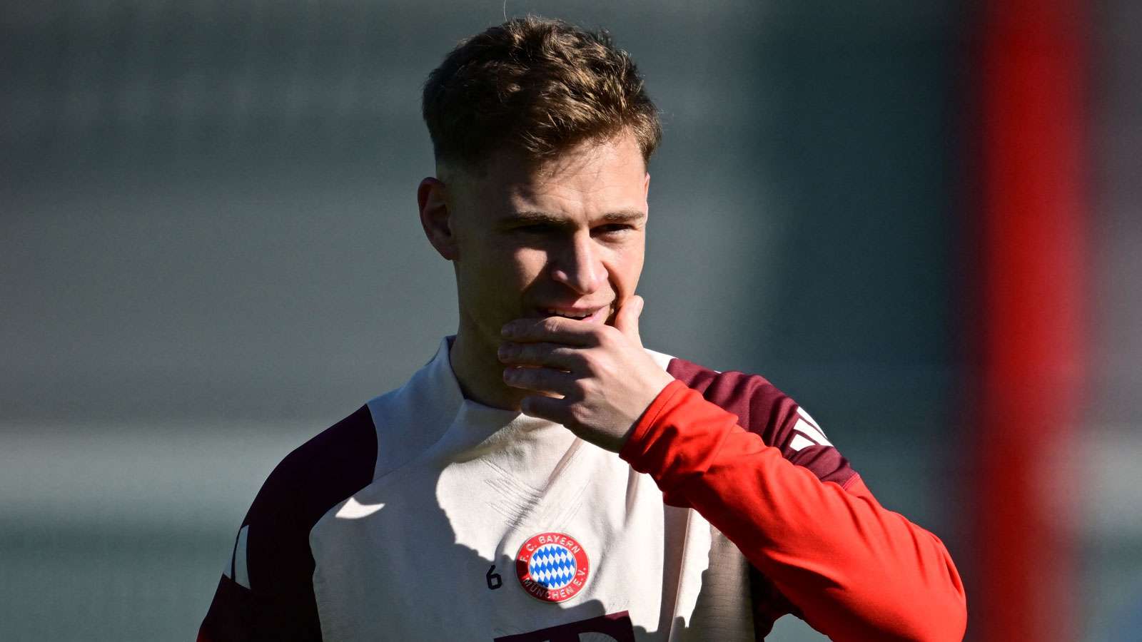 以今年获得 以今年获得