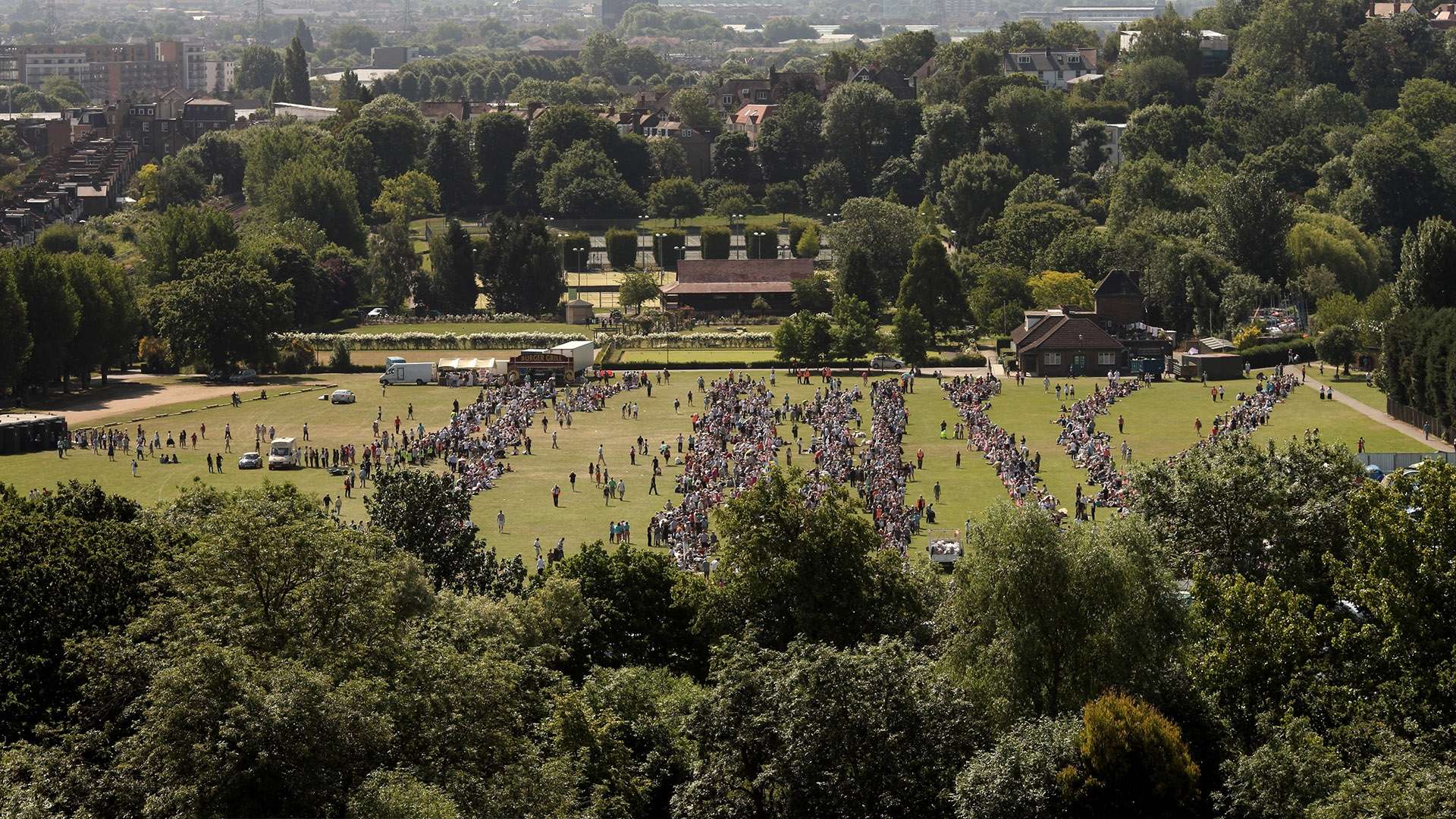 花的短暂效 花的短暂效